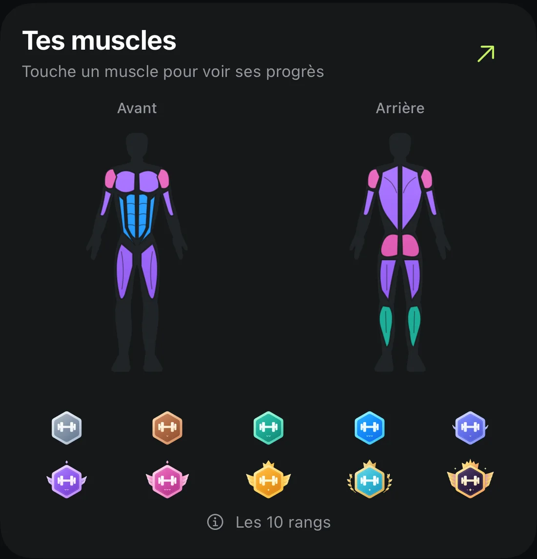 Carte des muscles d’Aven, de face et de dos, colorée selon le rang de chaque muscle, avec les dix badges